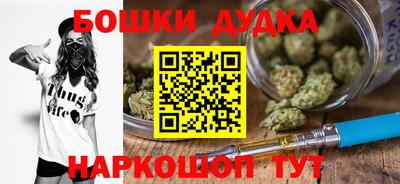 мдпв Будённовск