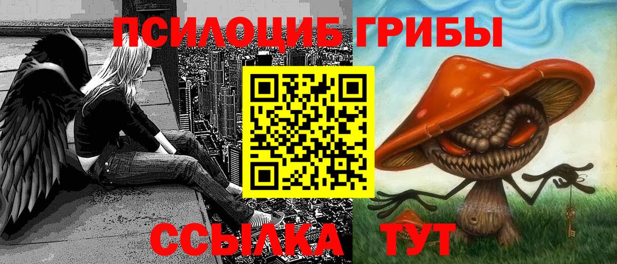 Псилоцибиновые грибы MAGIC MUSHROOMS  Вход с VPN  Унеча 